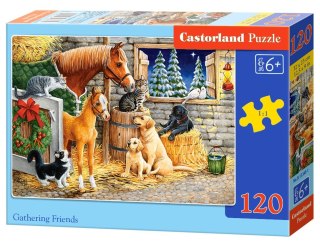 Puzzle 120 elementów Gathering Friends CASTORLAND B-13340