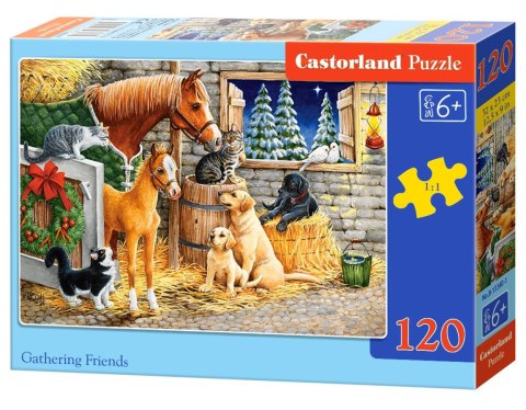 Puzzle 120 elementów Gathering Friends CASTORLAND B-13340