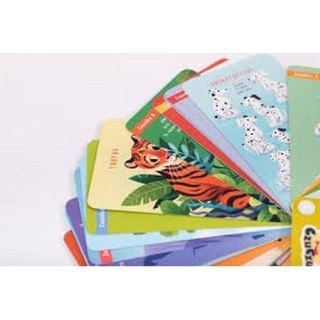Gra edukacyjna Zagadki z dziurką 4 CZU CZU 6222947