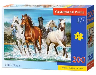 Puzzle 200 elementów Call of Nature CASTORLAND B-222056