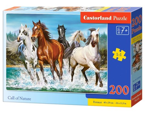 Puzzle 200 elementów Call of Nature CASTORLAND B-222056
