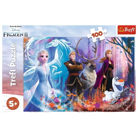 Puzzle 100 elementów Magia Krainy Lodu TREFL 16366