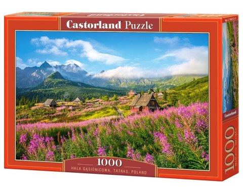 Puzzle 1000 elementów Hala Gąsienicowa, Tatras, Poland CASTORLAND C-104512