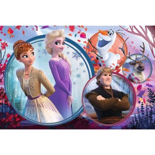 Puzzle 160 elementów Siostrzana przygoda TREFL 15374