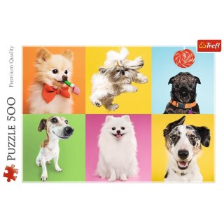 Puzzle 500 elementów Psy TREFL 37378
