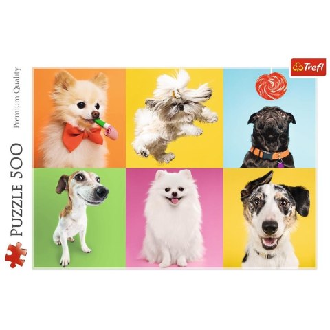 Puzzle 500 elementów Psy TREFL 37378