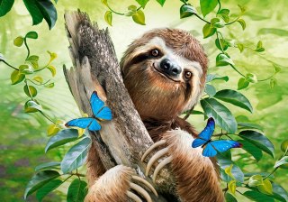 Puzzle 500 elementów Sloth CASTORLAND B-53223