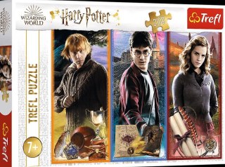 Puzzle 200el. W świecie magii i czarów PUD TREFL 13277 TR