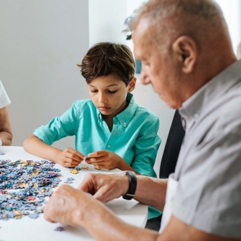 Puzzle 1000 elementów Świat Czarodziejów TREFL 10668