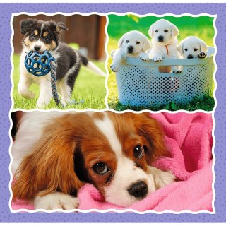 Puzzle 3W1 Urocze Pieski PUD TREFL 34854 TR