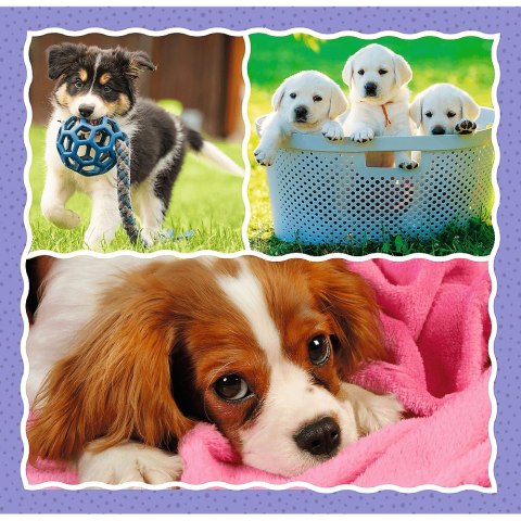 Puzzle 3W1 Urocze Pieski PUD TREFL 34854 TR