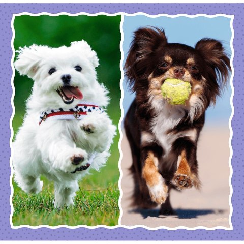 Puzzle 3W1 Urocze Pieski PUD TREFL 34854 TR