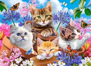 Puzzle 70 elementów Kittens with Flowers CASTORLAND B-070107