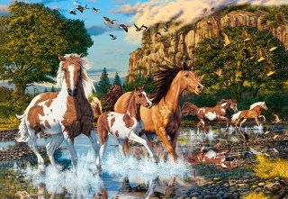 Puzzle 1000 elementów Horse Wonderland CASTORLAND C-104789