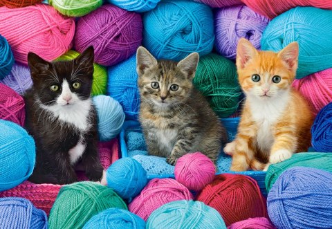 Puzzle 1000 elementów Kittens in Yarn Store CASTORLAND C-104796