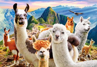 Puzzle 1000 elementów Llamas Selfie CASTORLAND C-104758