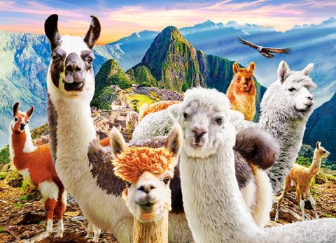 Puzzle 200 elementów Llamas Selfie CASTORLAND B-222193