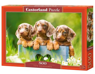 Puzzle 500 elementów Cute Dachshunds CASTORLAND B-53605