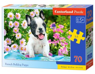 Puzzle 70 elementw French Bulldog Puppy CASTORLAND B-070152