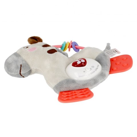 Muzyczna Zebra BAM BAM 503087