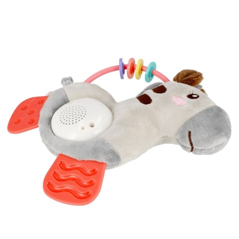 Muzyczna Zebra BAM BAM 503087