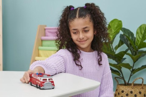 PAW PATROL ZESTAW DRUZYNOWY AST 6064448 WB4