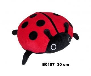 PLUSZAK BIEDRONKA 30CM SA FOL