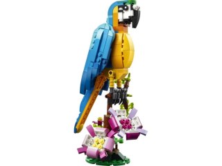 Klocki konstrukcyjne Creator Egzot Papuga LEGO 31136