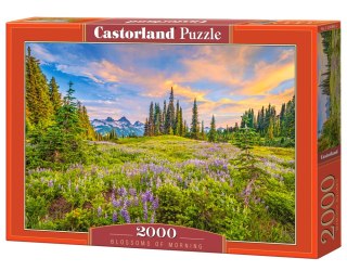 Puzzle 2000 el. Blossoms of Morning CASTORLAND C-200863