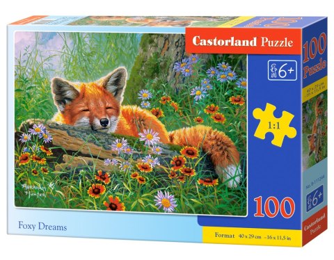 Puzzle 100 Foxy Dreams CASTORLAND B-111244