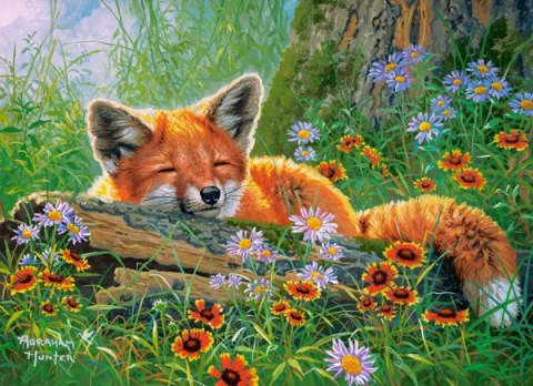 Puzzle 100 Foxy Dreams CASTORLAND B-111244