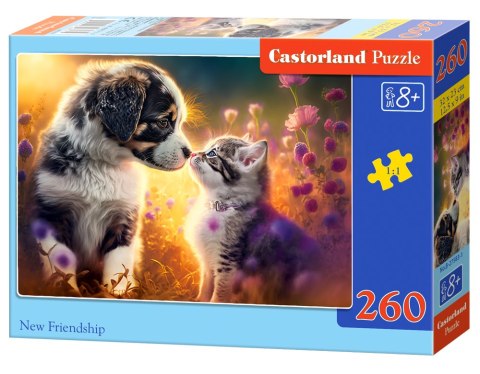 Puzzle 260 el. New Friendship CASTORLAND B-27583