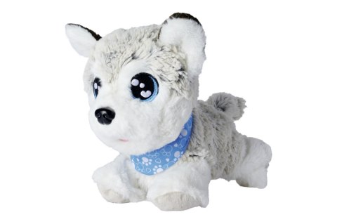 CCL Happy Husky, 30 cm