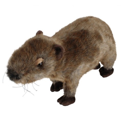 Pluszak Kapibara 33 cm BIURO-SET 13993 BS