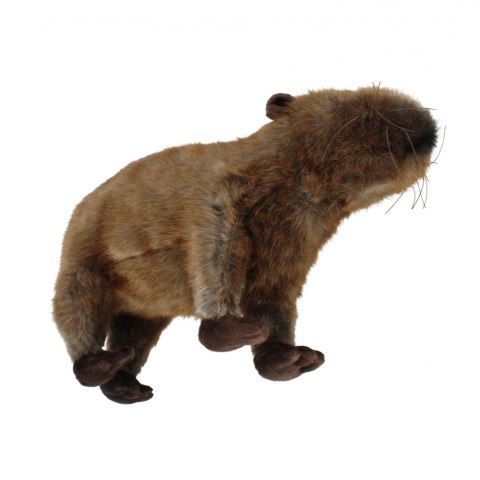Pluszak Kapibara 33 cm BIURO-SET 13993 BS