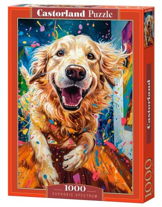 Puzzle 1000 el. Euphoric Spectrum CASTORLAND C-105182