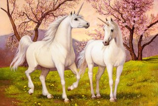Puzzle 1000 el. Unicorn Love CASTORLAND C-105236