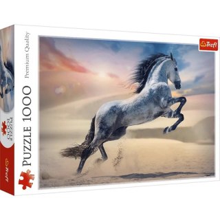 Puzzle 1000el Majestatyczny koń TREFL 10790 TR