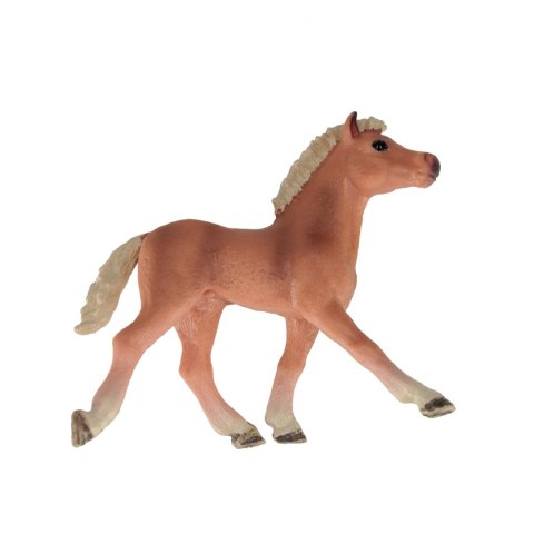 Konik 10cm mix MEGA CREATIV 544870
