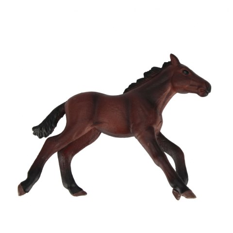 Konik 10cm mix MEGA CREATIV 544870