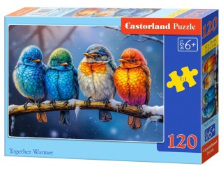 Puzzle 120 el. Together Warmer CASTORLAND B-13586