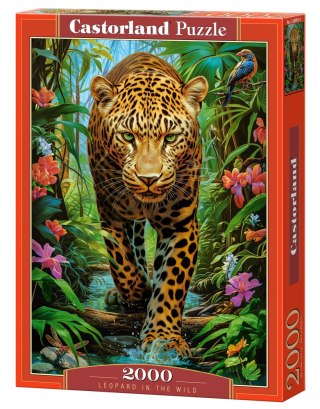 Puzzle 2000 el. Leopard in the Wild CASTORLAND C-200955