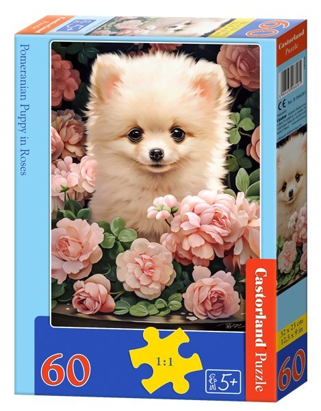 Puzzle 60 el. Pomeranian Puppy in Roses CASTORLAND B-066261