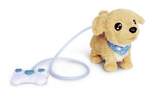 CCL Loomy Golden Retriever