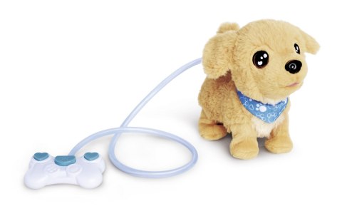 CCL Loomy Golden Retriever