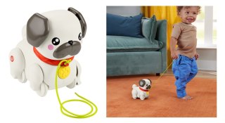 FP PETS SPACEROWY MOPSIK HTW94 WB2