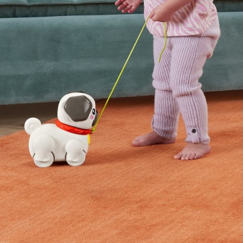 FP PETS SPACEROWY MOPSIK HTW94 WB2