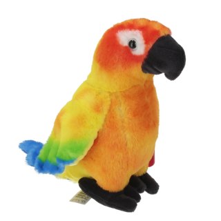 Pluszak Papuga 20cm konura słoneczna BEPPE 14142 BS