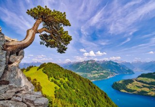 Puzzle 1000 el. View of the Lake of Uri, Switzerland CASTORLAND C-105311