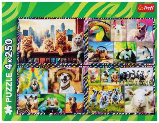 Puzzle 4x250 Zabawne zwierzaki ZOO TREFL 13313 TR